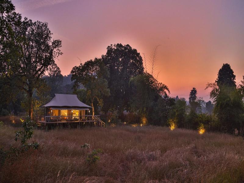 The Untamed Bandhavgarh By Tutc