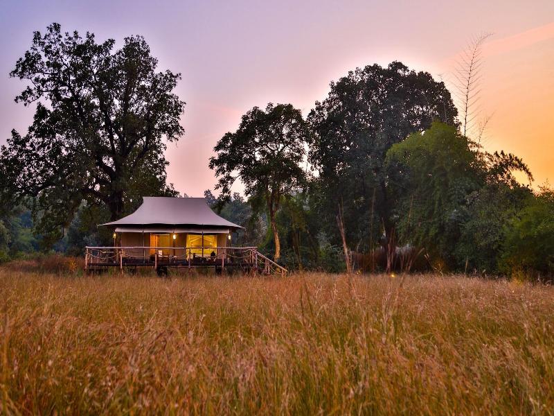 The Untamed Bandhavgarh By Tutc