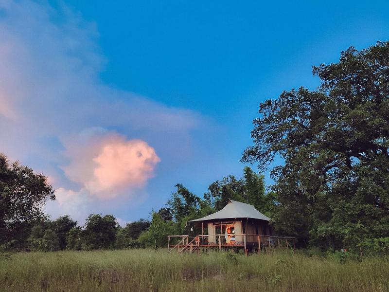 The Untamed Bandhavgarh By Tutc