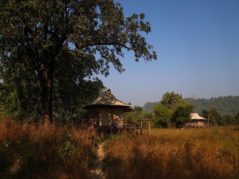 The Untamed Bandhavgarh By Tutc