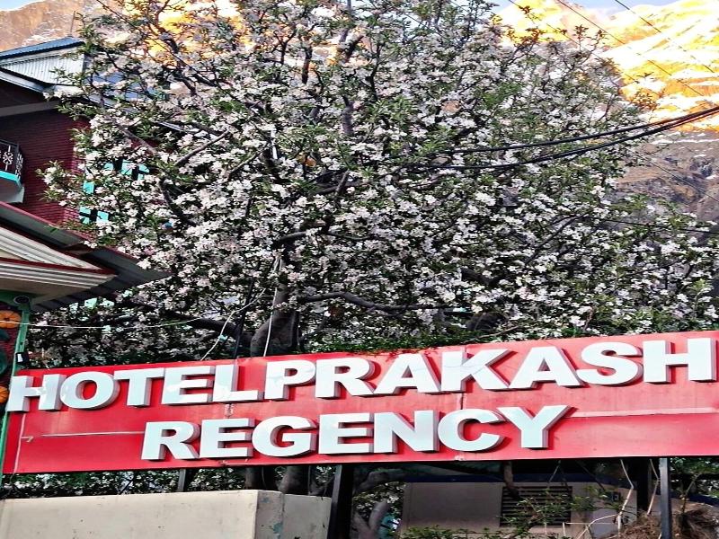 Hotel Prakash Regency Sangla 4