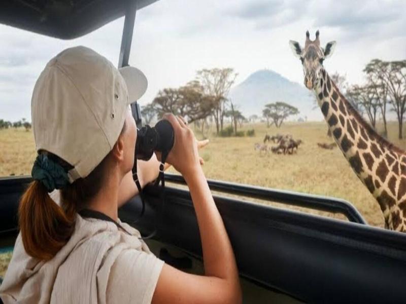 Mahali Muzuri Arusha image