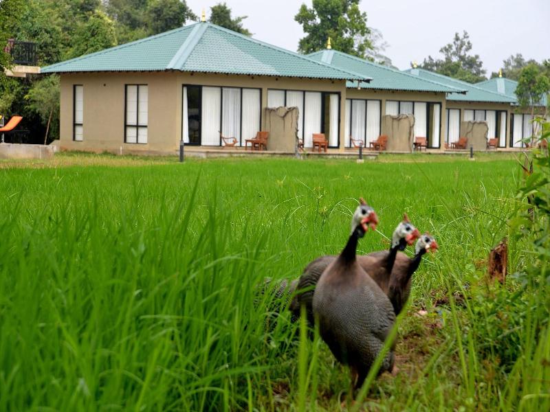 Sigiriya King's Resort image