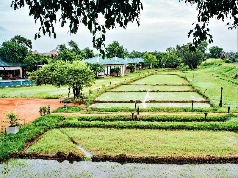 Sigiriya King's Resort image