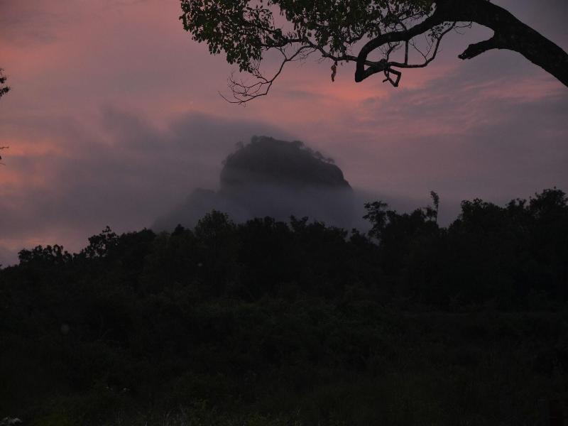 Sigiriya King's Resort image
