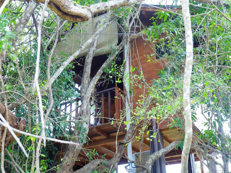 Sigiriya King's Resort image