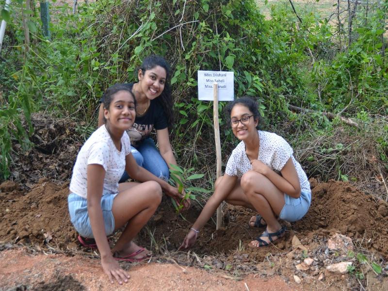 Sigiriya King's Resort image