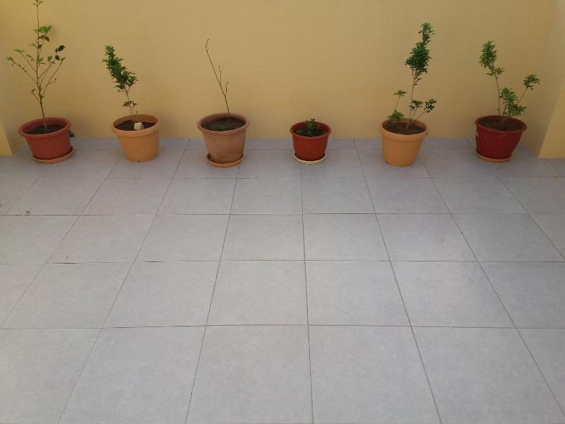 Heart Clear Good Homestay image