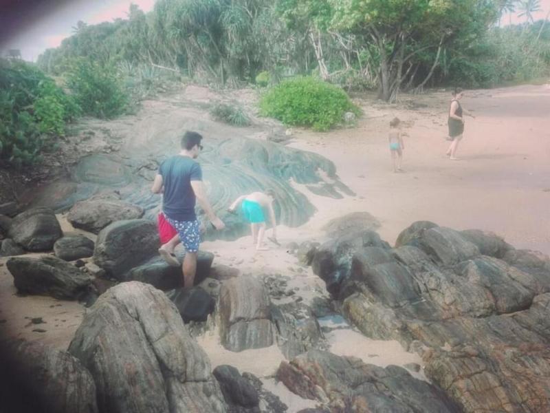Turtle Paradise