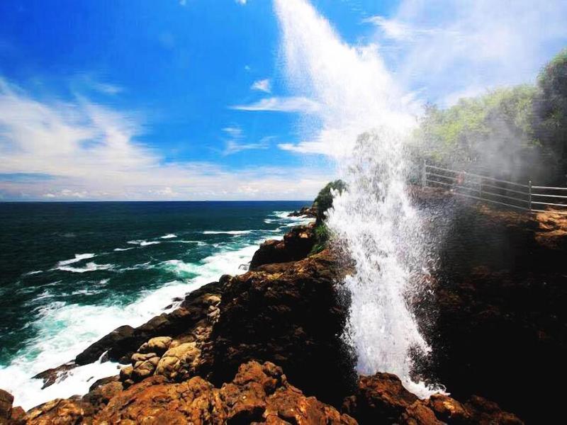 Turtle Paradise image