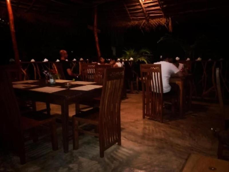 Turtle Paradise image