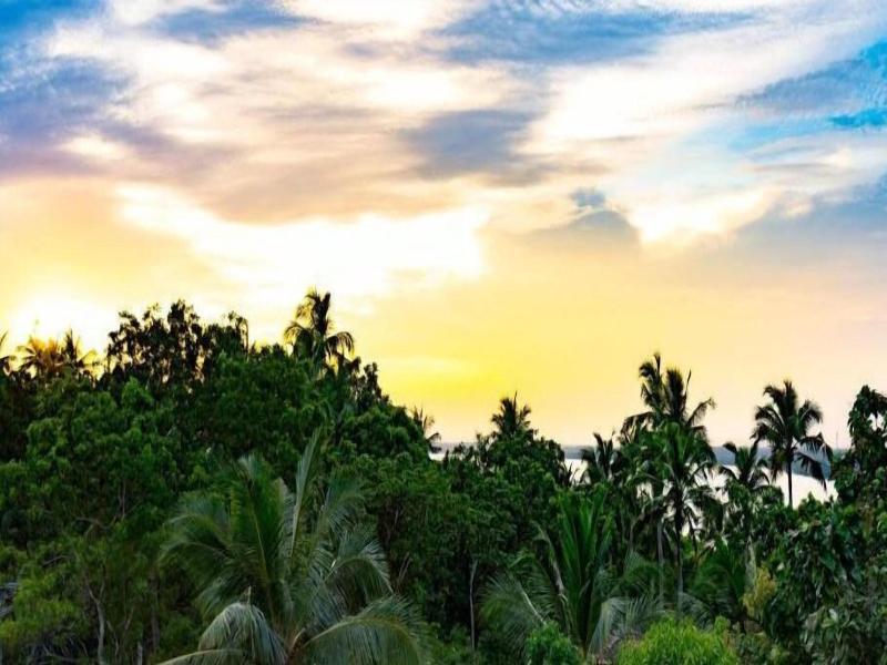 Turtle Paradise image