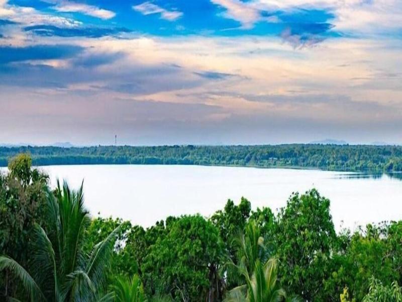 Turtle Paradise image
