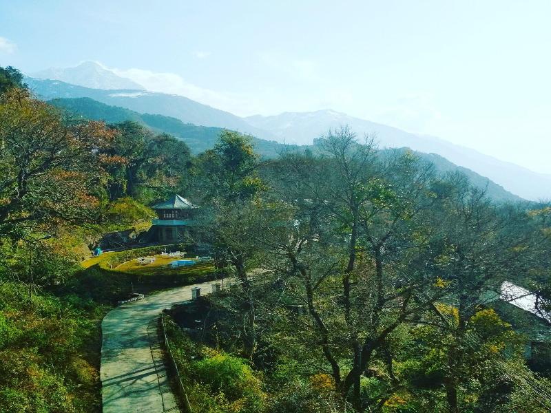 La Riqueza Hotels - Bliss Valley Dharamshala image