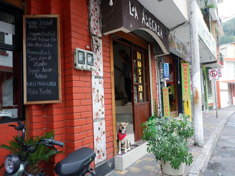 Hostal Alegra­a image