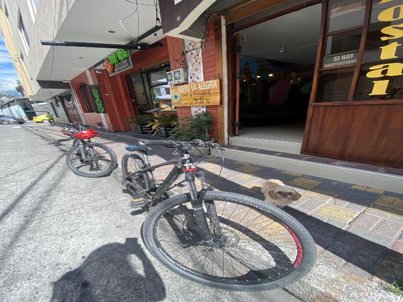 Hostal Alegra­a image