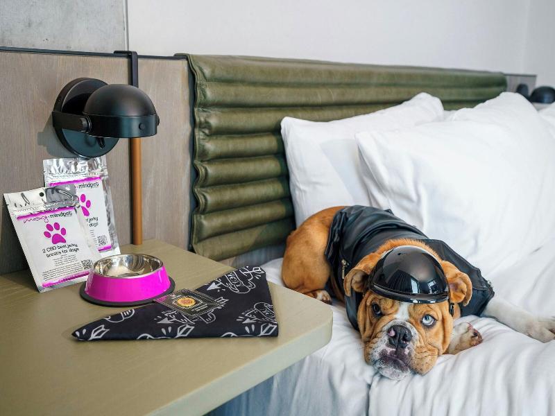 Moxy Downtown Los Angeles image