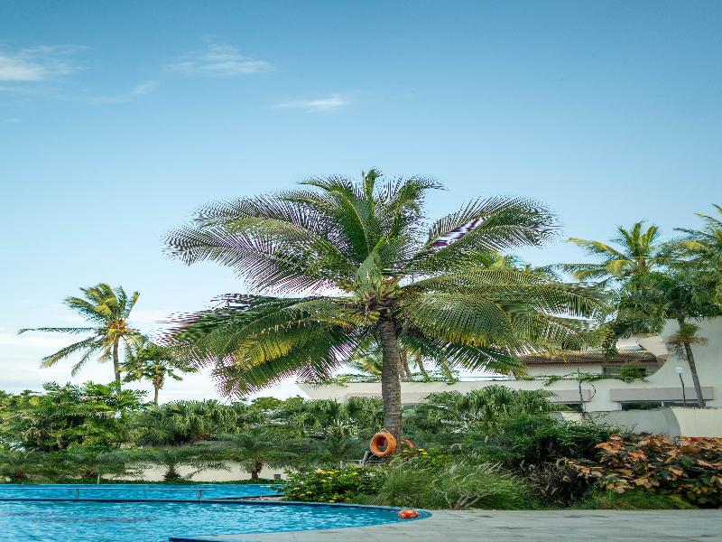 Kilua Beach Resort image