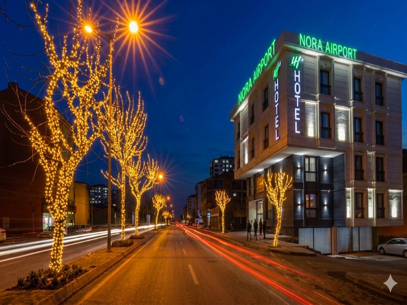 Nora Airport Hotel image