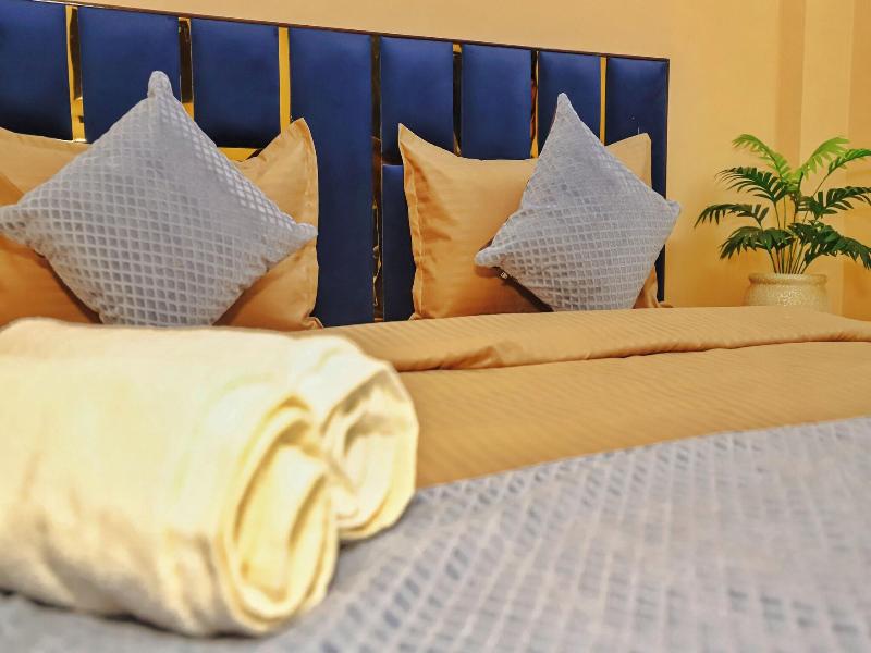 Roomshala 035 Premium Inn Noida Sec 15 image
