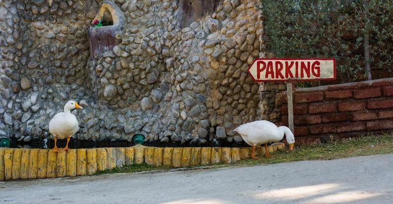 Lake Alpi Resort Kumbhalgarh image