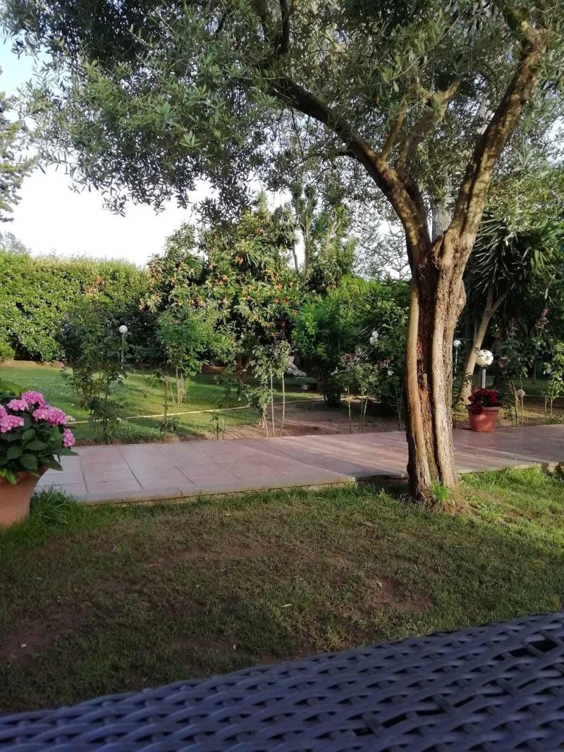 Appia Antica Cottage image