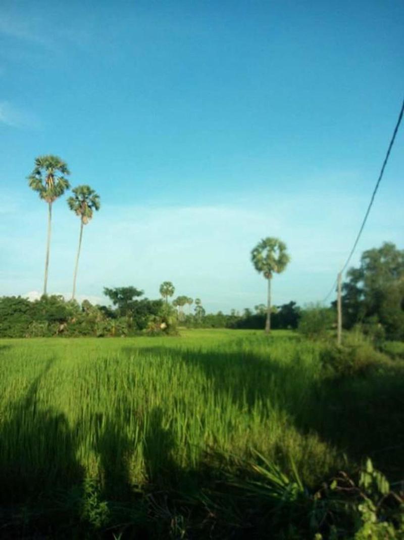 Sok Phen Homestay image