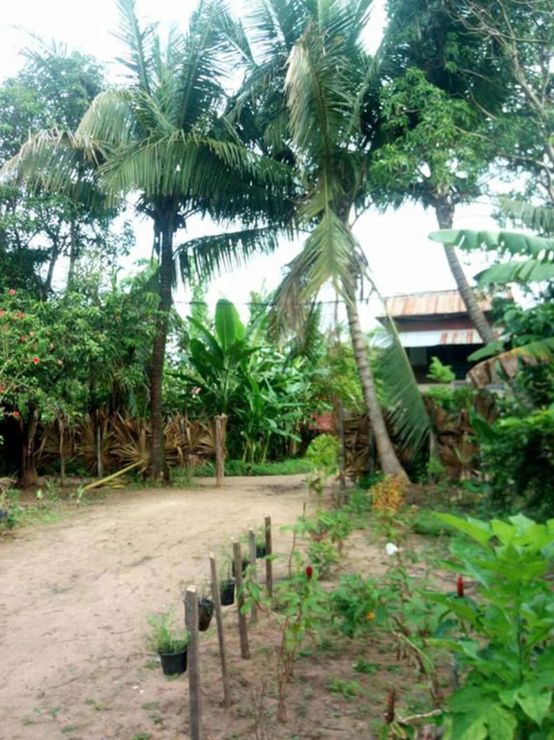 Sok Phen Homestay image