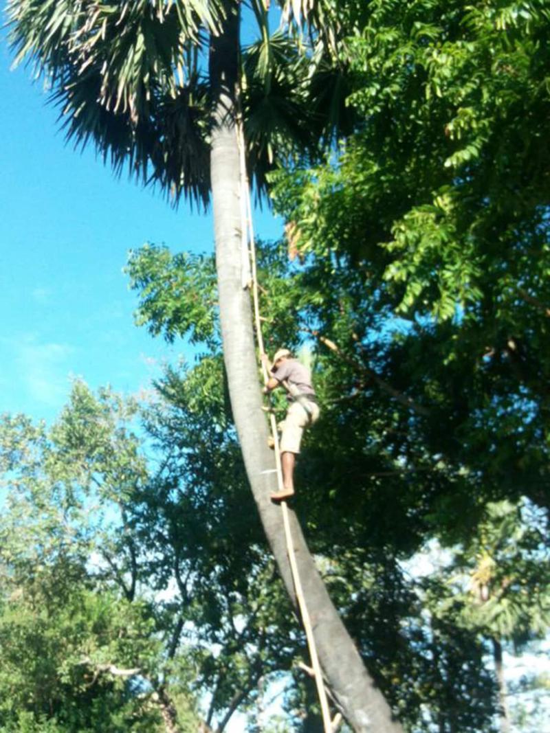 Sok Phen Homestay image