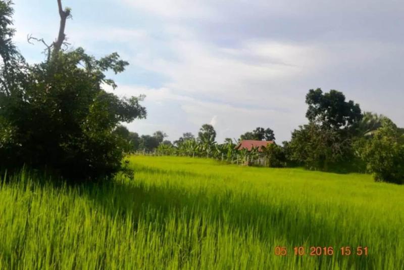 Sok Phen Homestay image