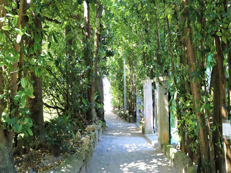 Fukugi Terrace image