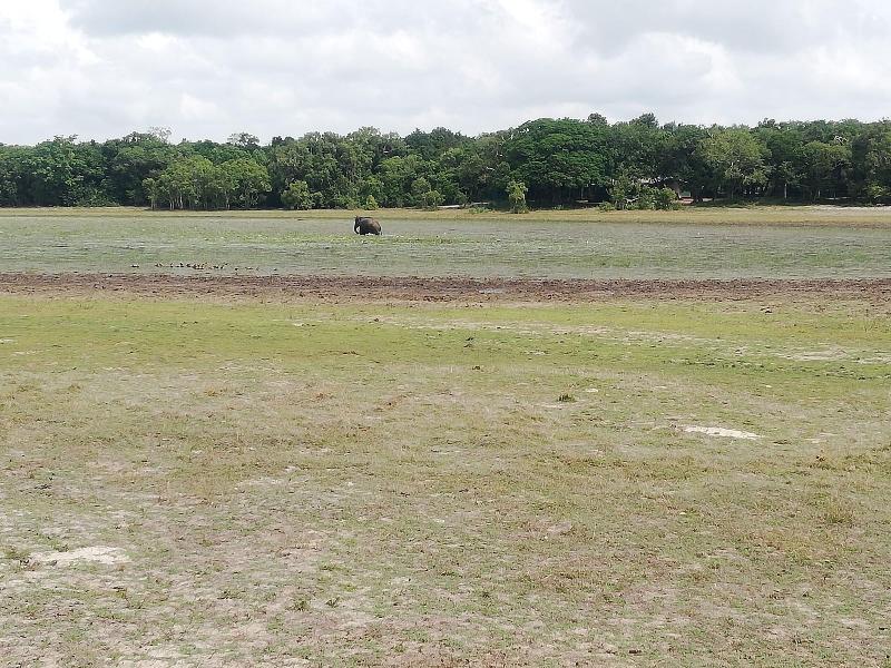 Seth Dev Lagoon Chalets Kalpitiya image