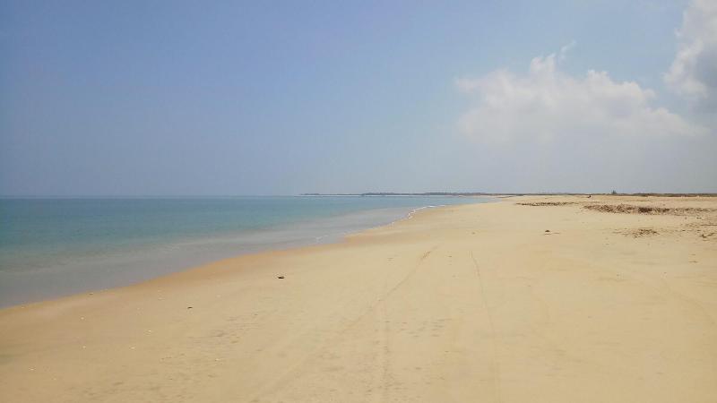 Seth Dev Lagoon Chalets Kalpitiya image