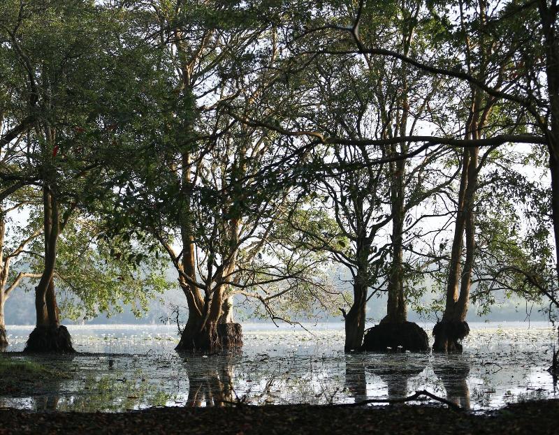Kaveri Ayurveda Resort — main photo