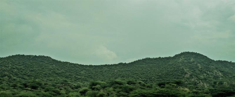 Chitrakoot Garden And Resorts Pushkar image