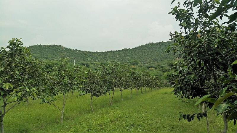 Chitrakoot Garden And Resorts Pushkar image