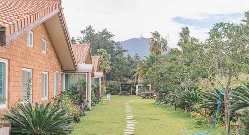Jeju Healing Resort image