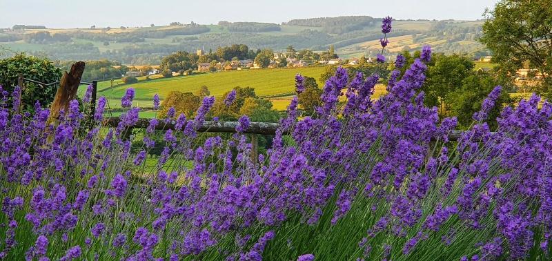 The Rock Self Catering Holiday Accommodation image