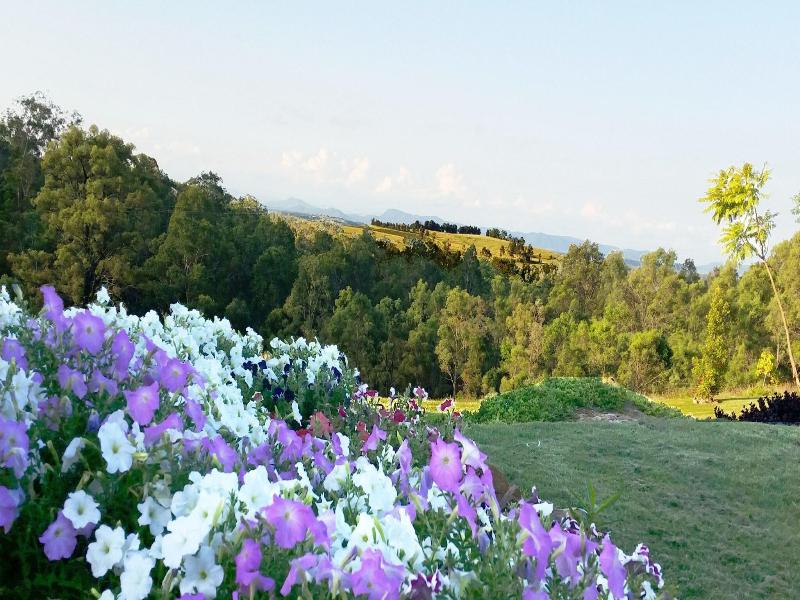 Wine Country Villas