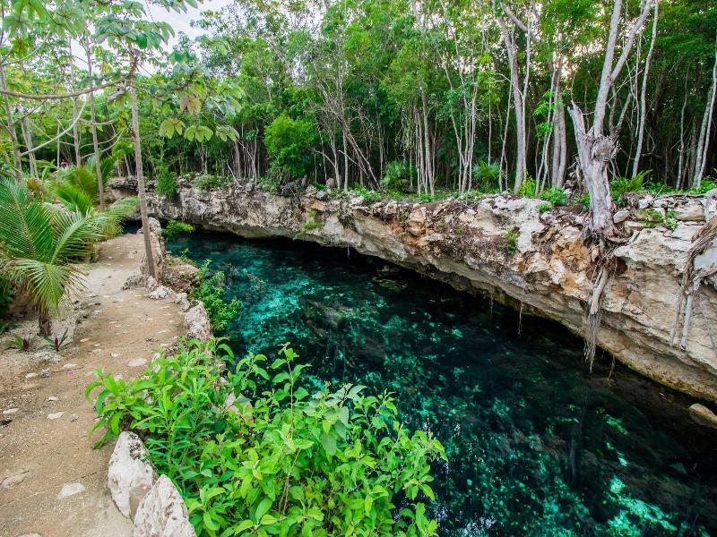 Hotel Cenotes Casa Tortuga — general view