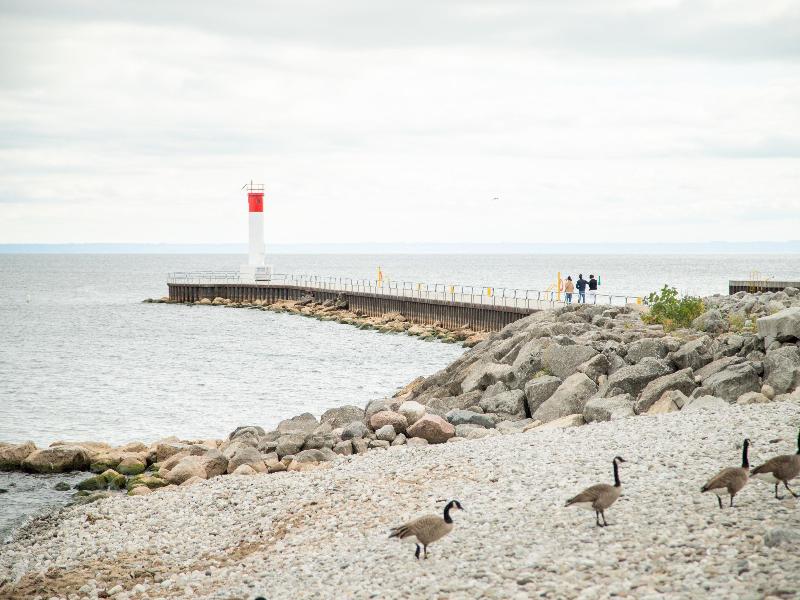 Holiday Inn Hotel & Suites Oakville Bronte IHG image