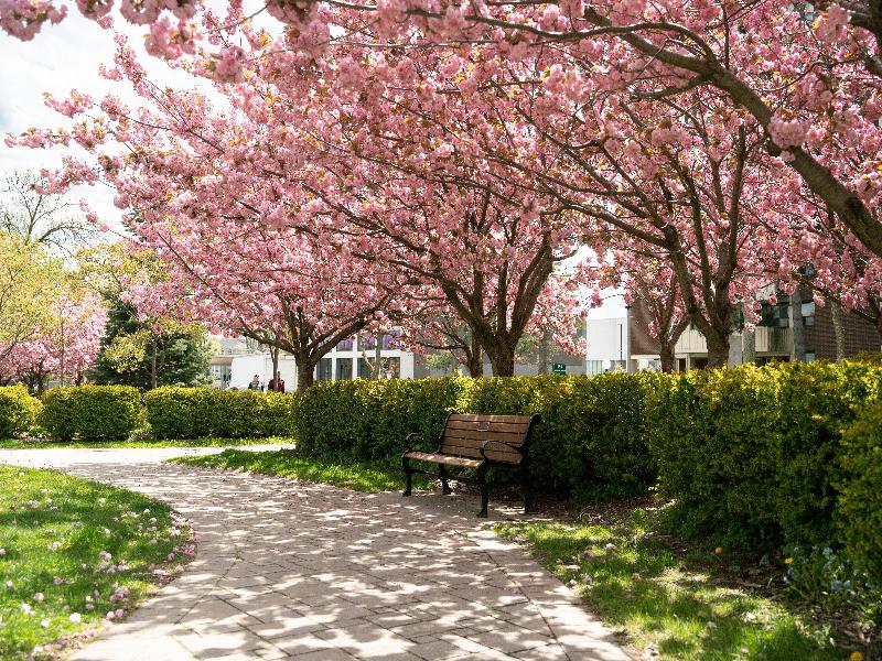 Holiday Inn Hotel & Suites Oakville Bronte IHG image