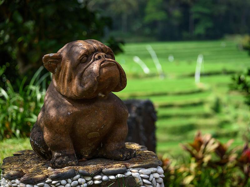 Permata Ayung Private Estate image