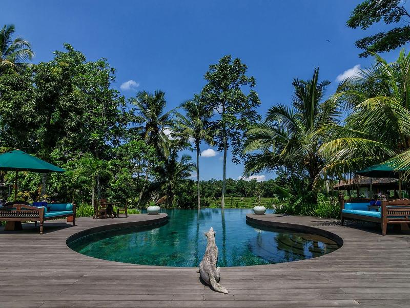 Permata Ayung Private Estate image