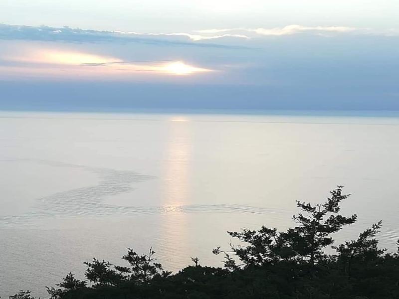 Blue Sea image