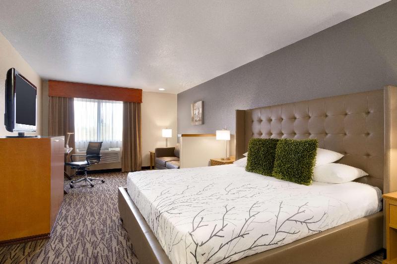 Best Western Plus Peppertree Airport Inn — photo 174