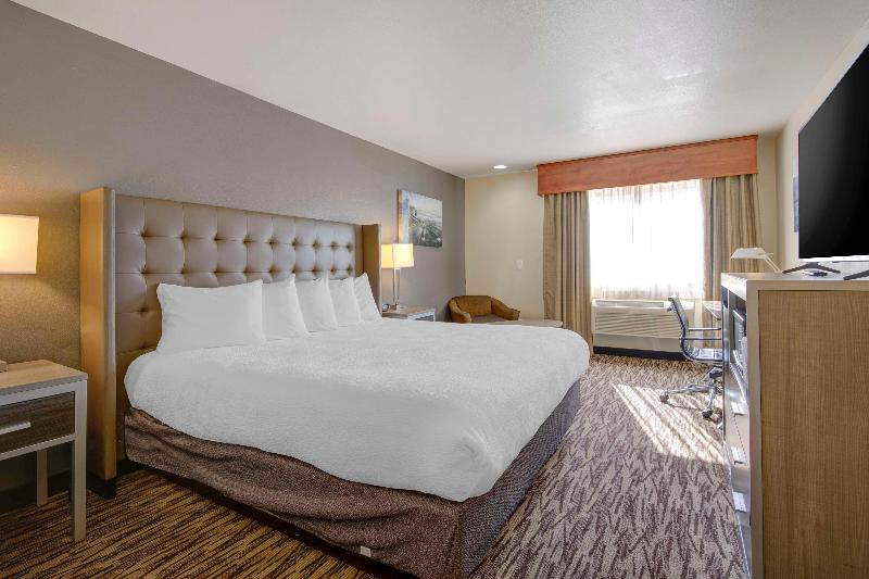 Best Western Plus Peppertree Airport Inn — photo 255
