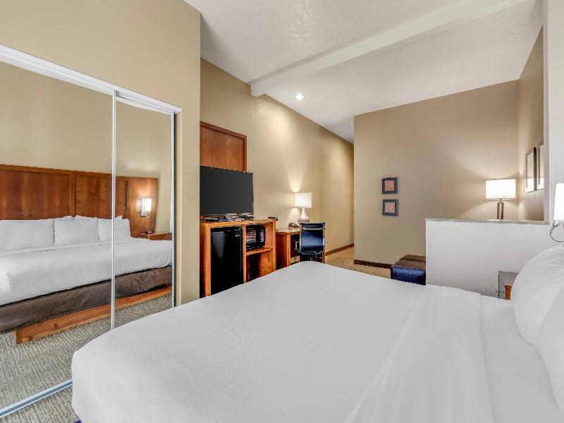 Comfort Suites Airport Boise Airport image