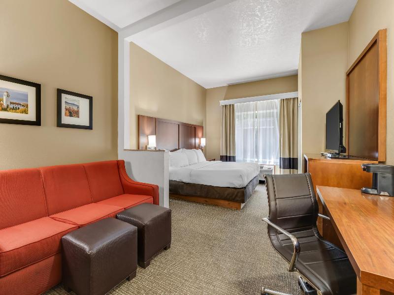 Comfort Suites Airport Boise Airport image
