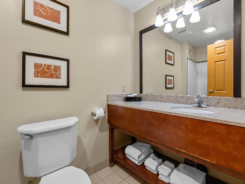 Comfort Suites Airport Boise Airport image